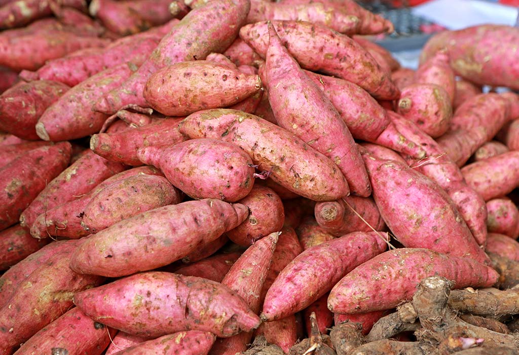 Sweet Potato