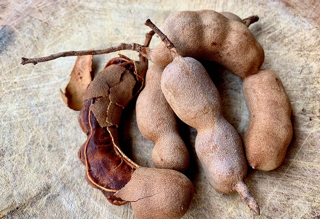 Tamarind