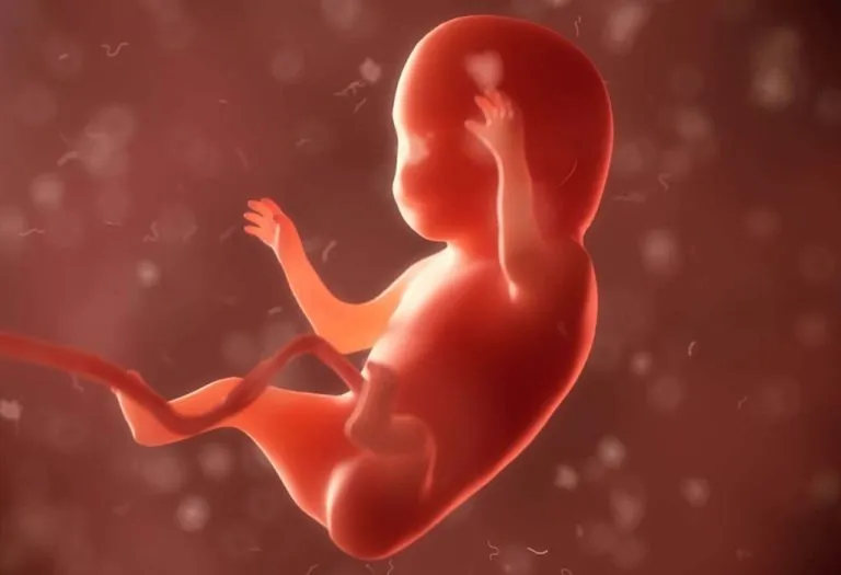 I Had a Low Lying Placenta during My Pregnancy