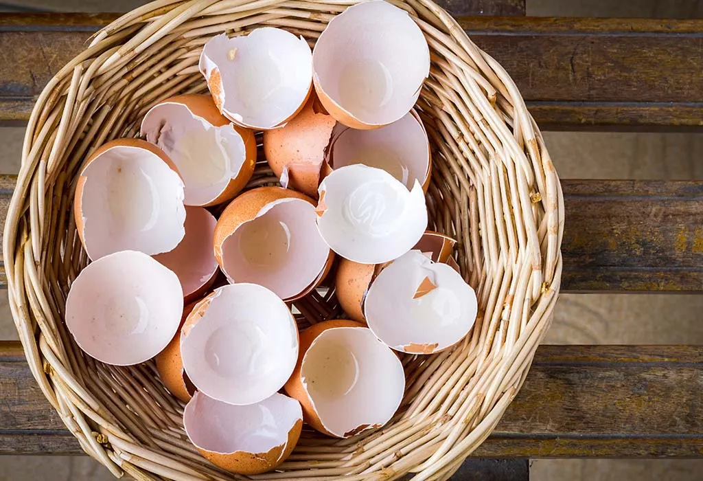 egg shells