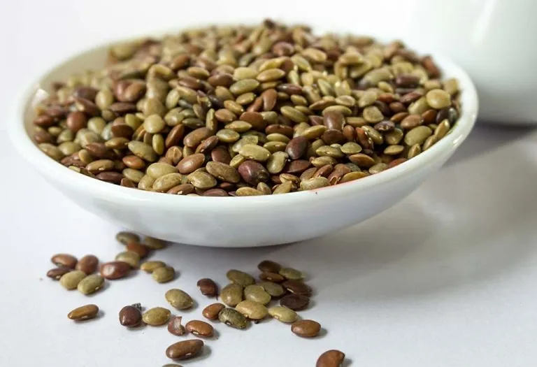 Horse Gram for Weight Loss: Recipes & Side Effects