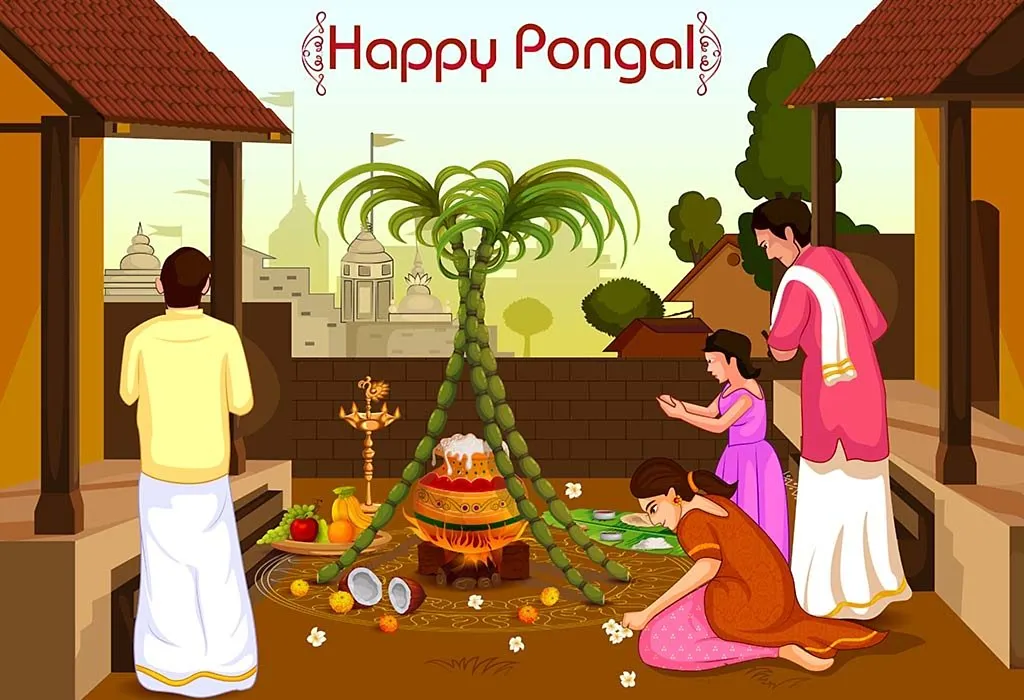 Pongal Festival 2024 History, Importance, How It Is Celebrated & Dishes