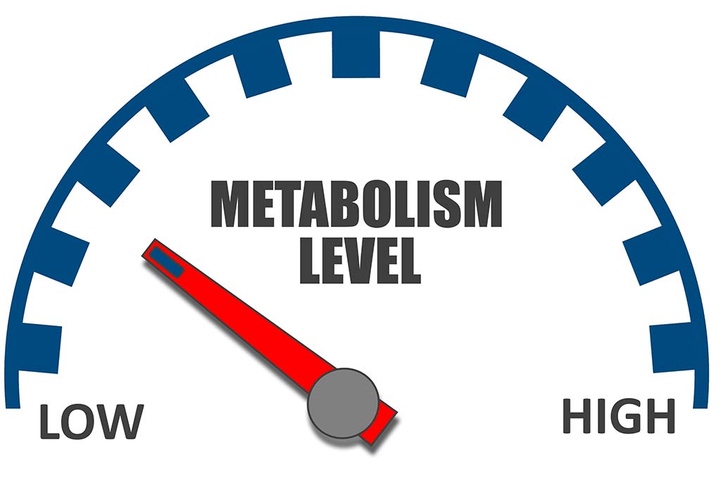 Metabolic rate