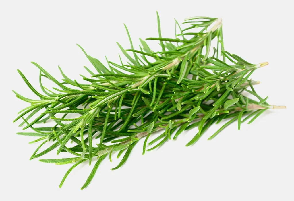 Rosemary