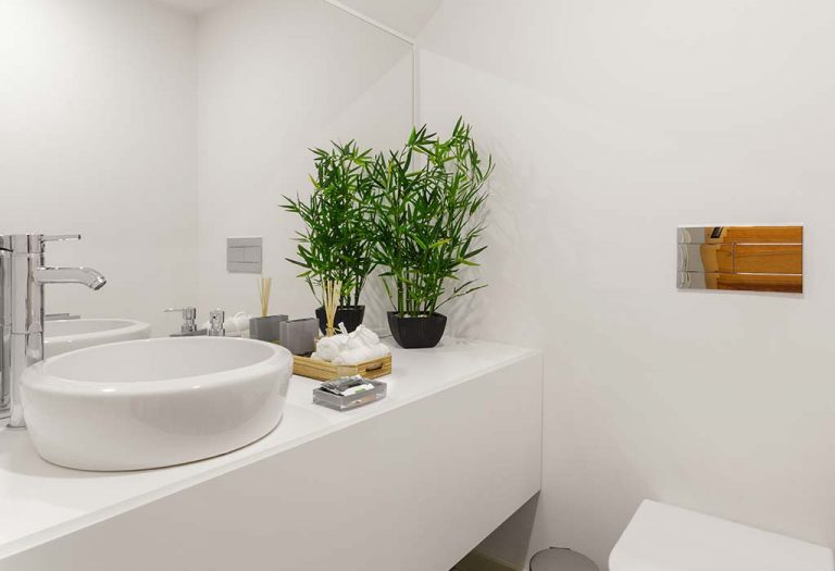 10 Plants for Your Bathroom
