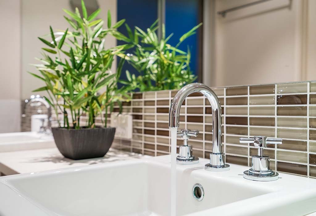 10 Bathroom Plants To Keep Your Space Bright And Cheery