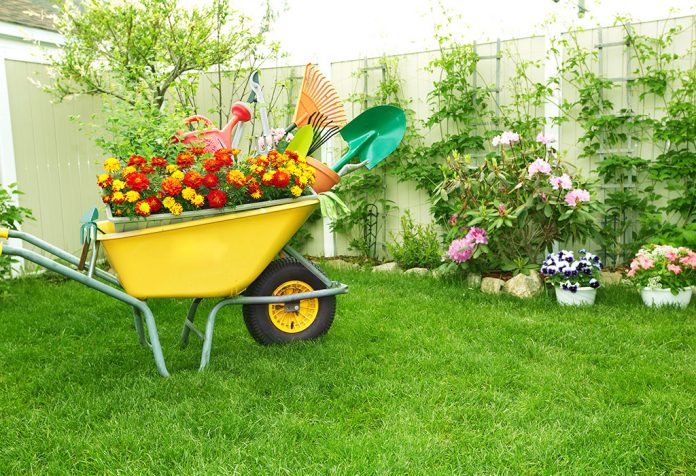 surprising benefits of gardening