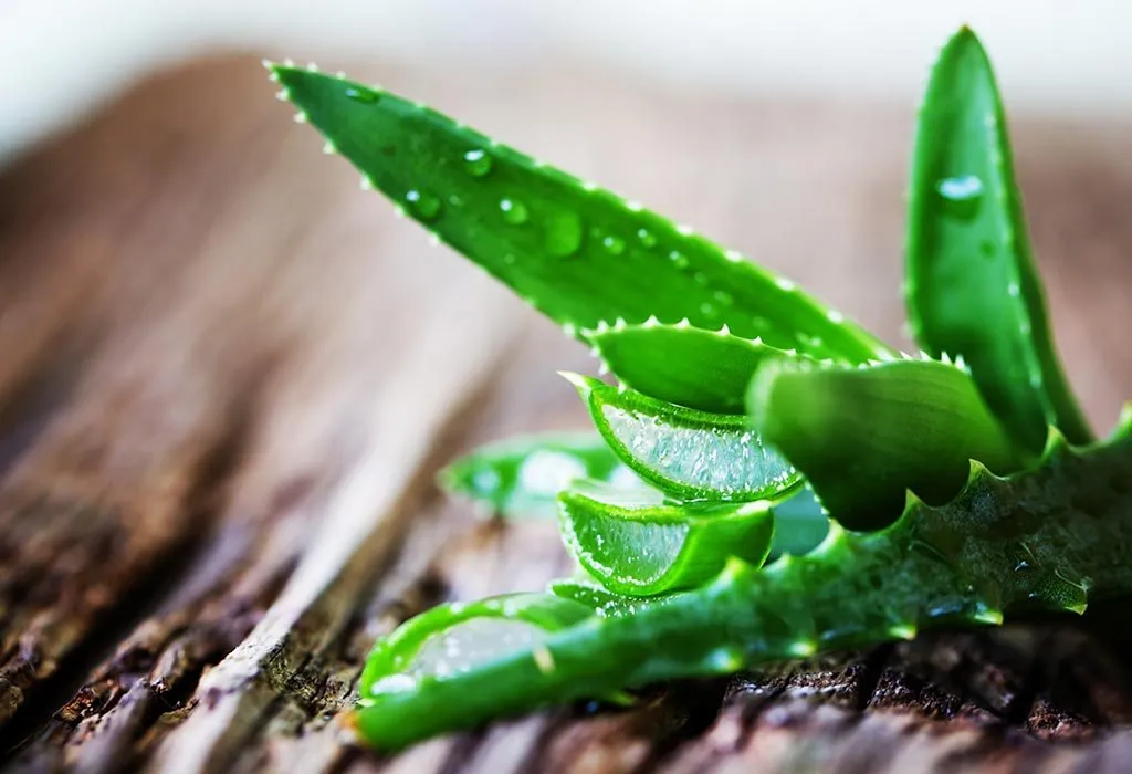 Aloe vera extract