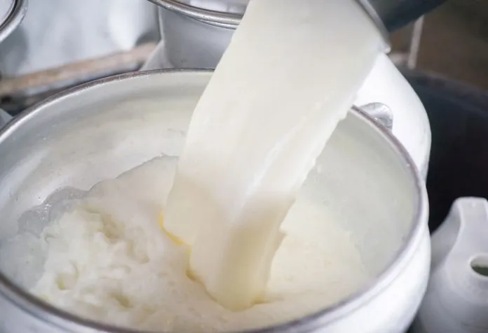 10 Amazing Benefits of Raw Milk