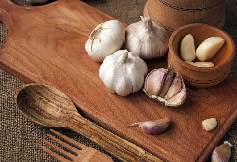 10 Best Natural Antibiotics to Kill Body Infections