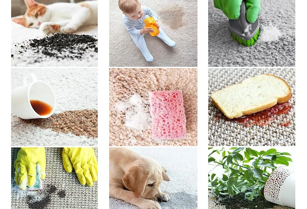 How to Clean Carpet at Home 3 Methods, Tips & Tricks