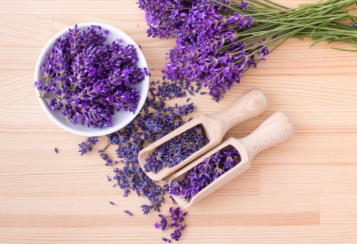 11 Best Herbs That You Must Use For Your Skin Care 6811