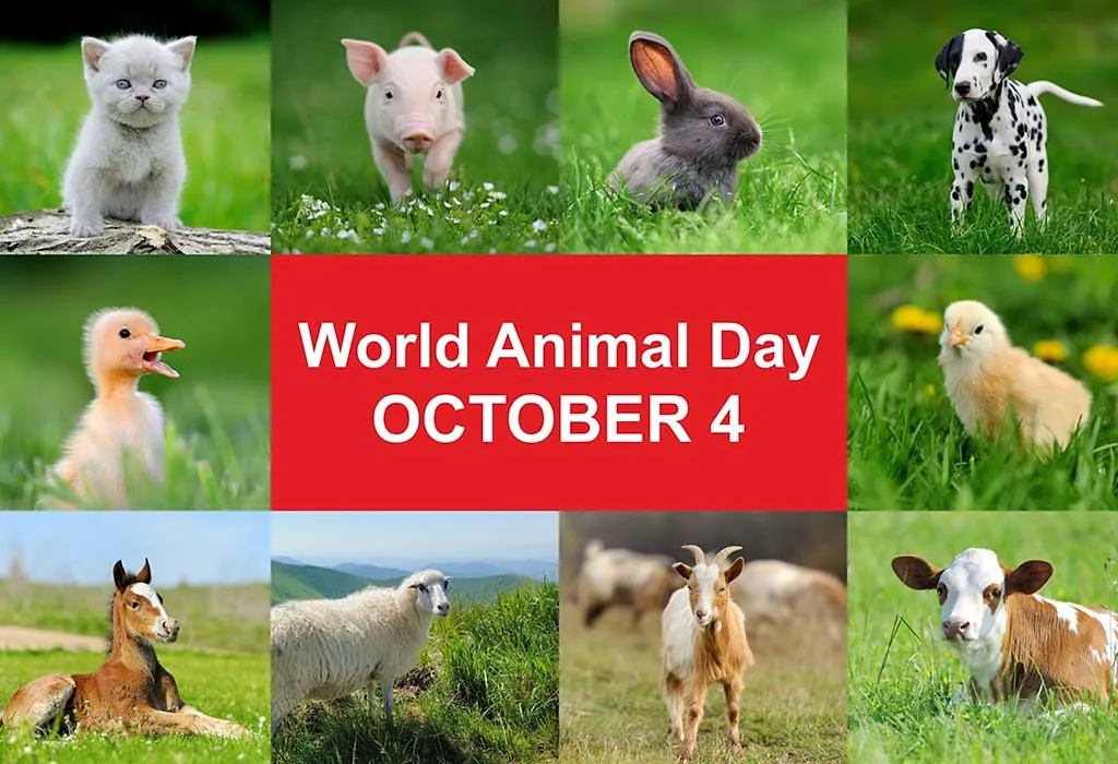 World Animal Day 2024 How to Celebrate, History & Importance