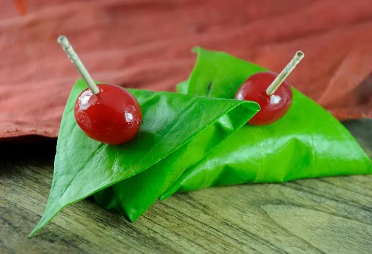 Benefits and Side Effects of Betel Leaf (Paan)