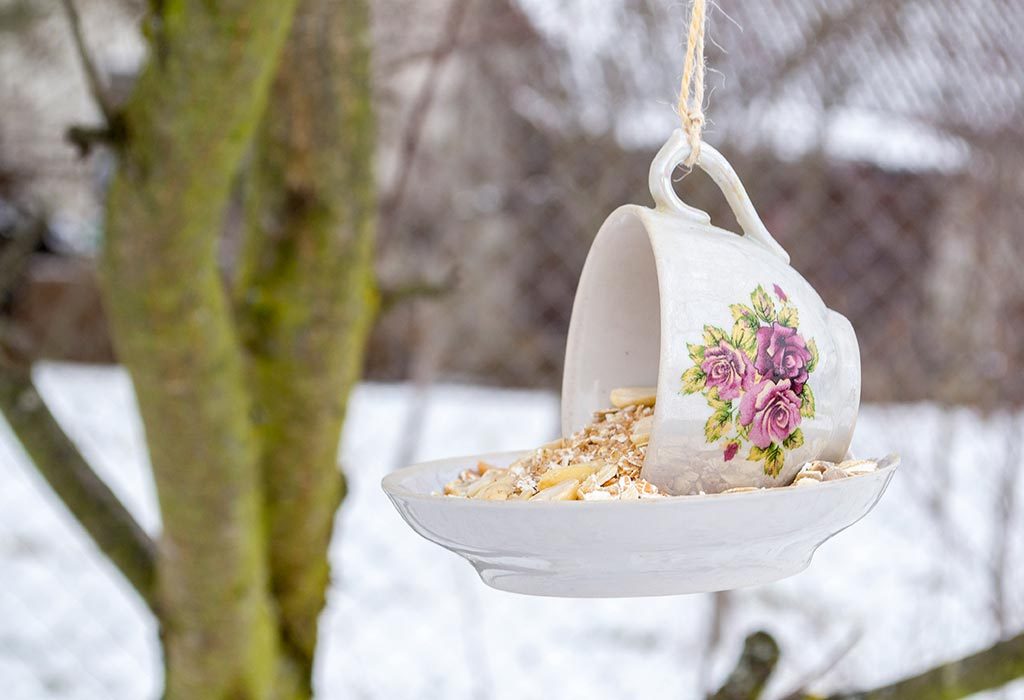 make a DIY bird feeder