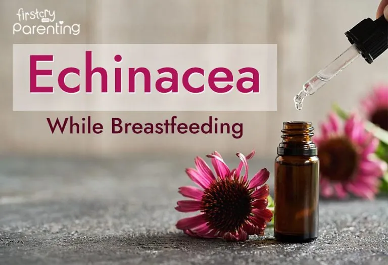 Consuming Echinacea During Breastfeeding – Is It Safe?