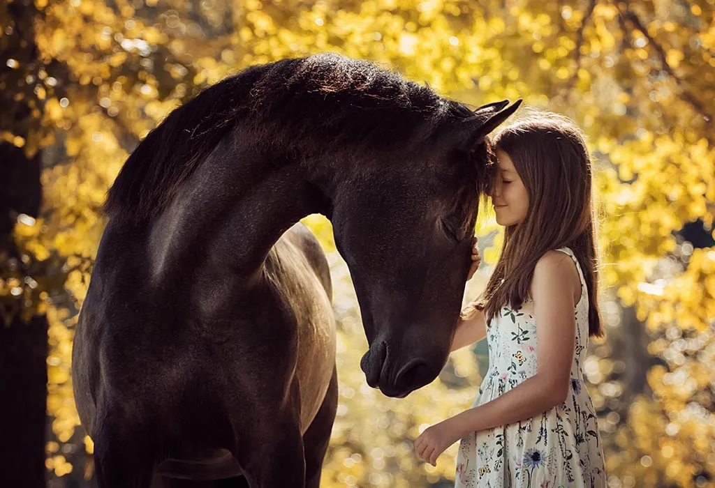 Horse Facts