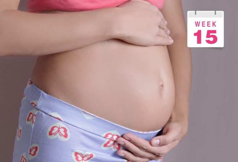 गर्भधारणा: १५वा आठवडा