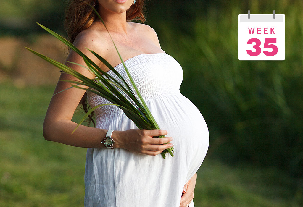 गर्भधारणा: ३५वा आठवडा