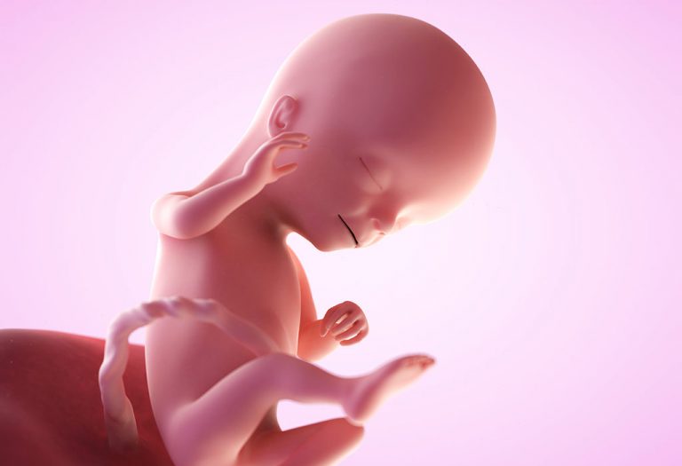 गर्भधारणा: १६वा आठवडा
