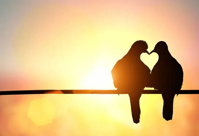 What is Love for You? - A Poem