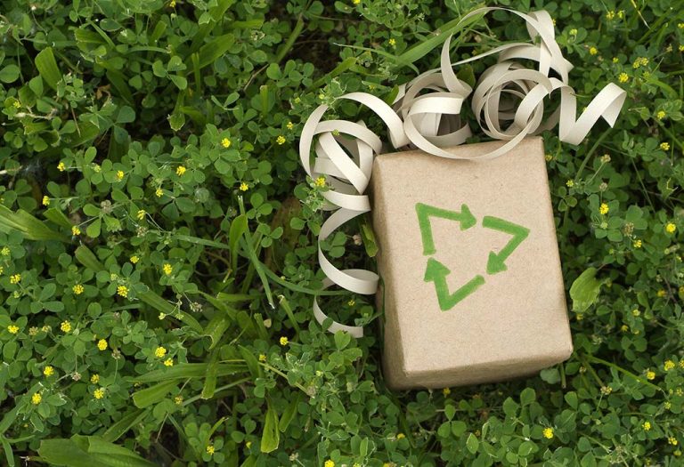 10 Eco-Friendly Gift Ideas - It's Time to Go Green