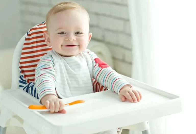 10 Best Baby High Chairs