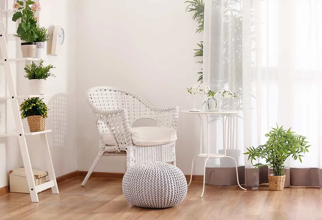 Best Feng Shui Plants to Keep in Your Home and Office