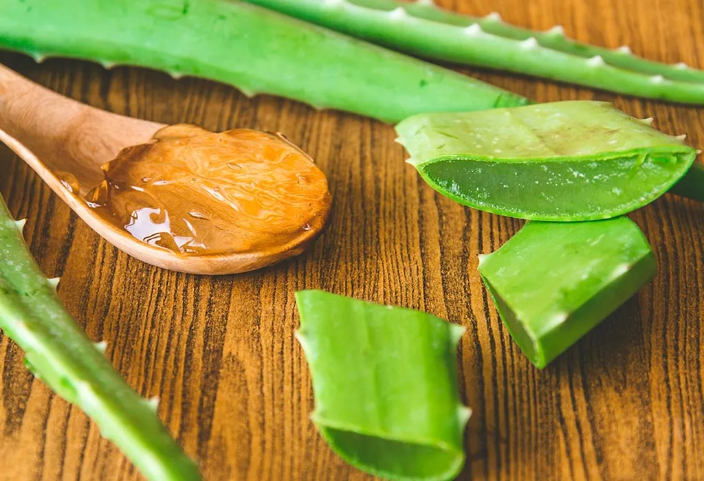 aloe vera
