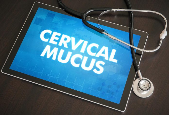Cervical Mucus in Early Pregnancy: Types, Appearance, & Normal vs. Abnormal