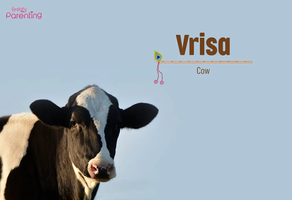 Vrisa - Lord Krishna Names for Baby Boy With Meanings