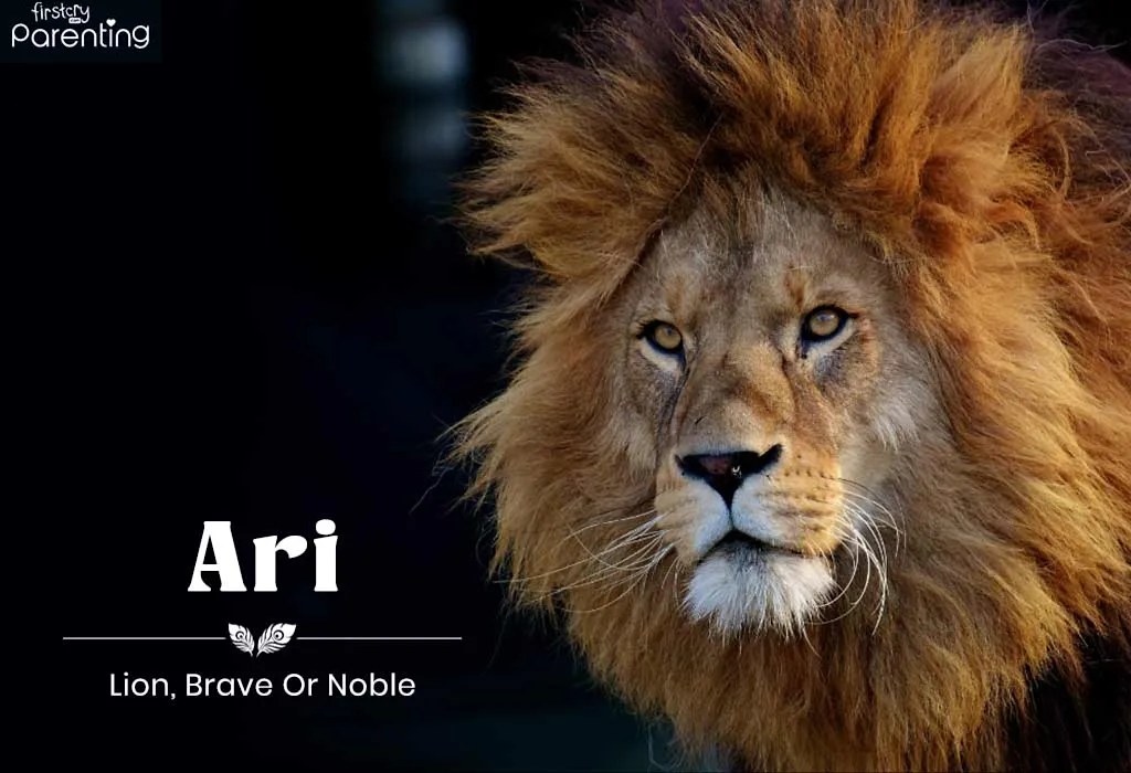 Ari - Lord Vishnu Names For Baby Boy with Meanings Ari - Lord Vishnu Names For Baby Boy with Meanings