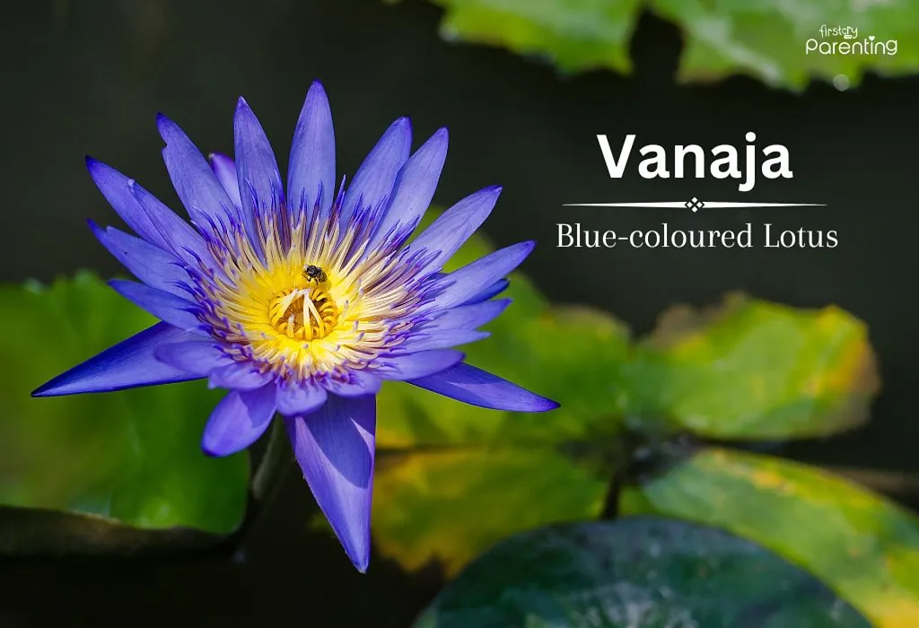 Vanaja - Stylish Girl Names with Meanings