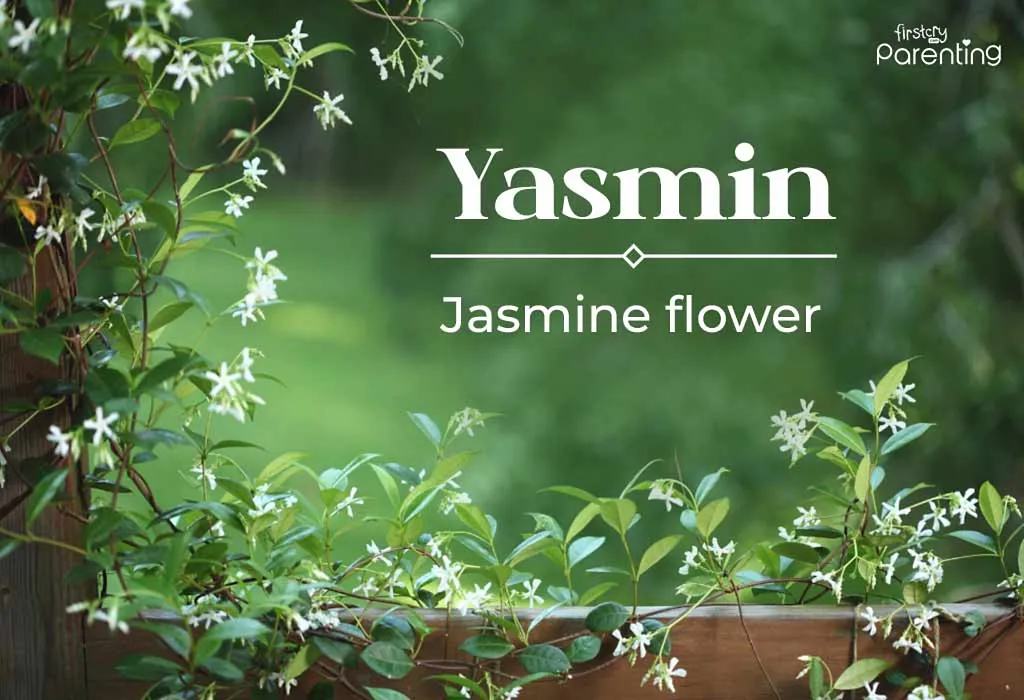 Yasmin- Islamic or Muslim Girl Names