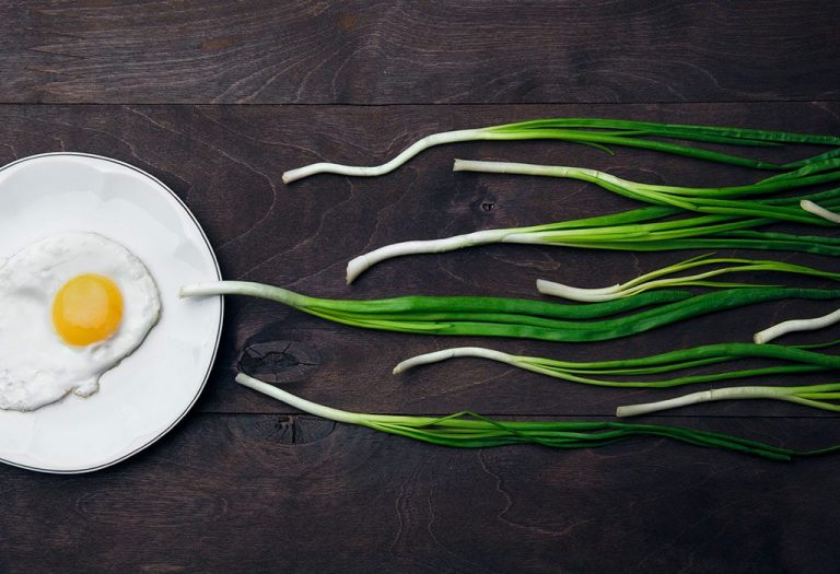 12 Best Foods That Can Boost Your Fertility