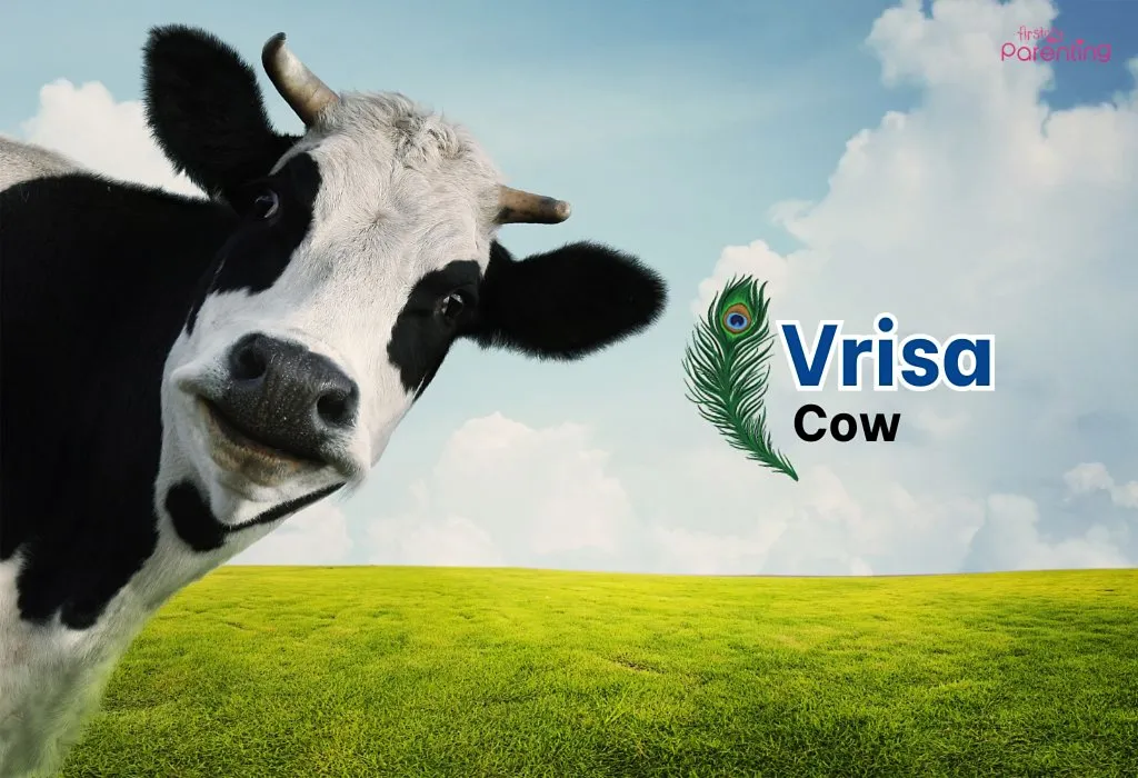 Vrisa - Lord Krishna Names for Baby Boy
