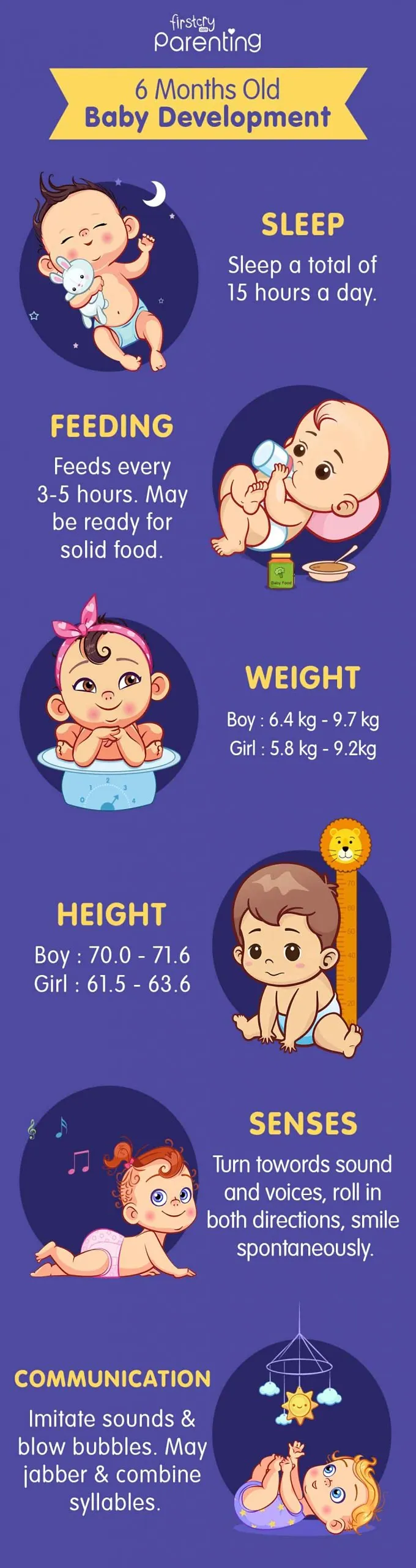 6 Months Old Baby Developmental Milestones