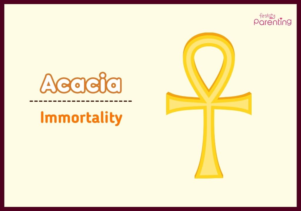 Acacia - Flower Names for Girls