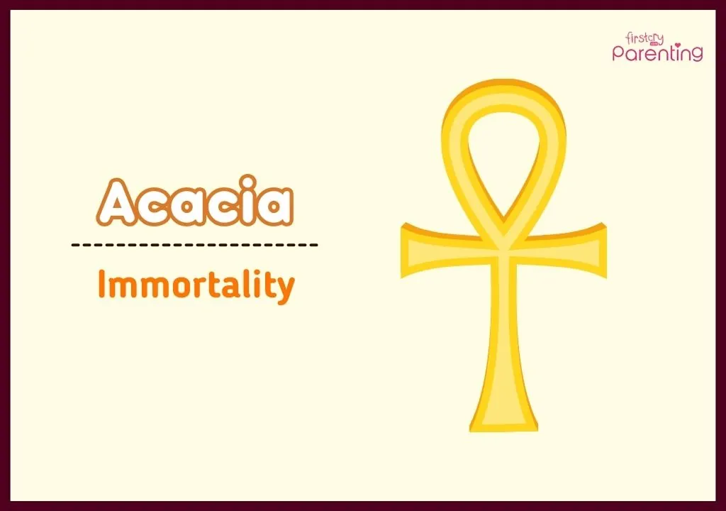 Acacia - Flower Names for Girls