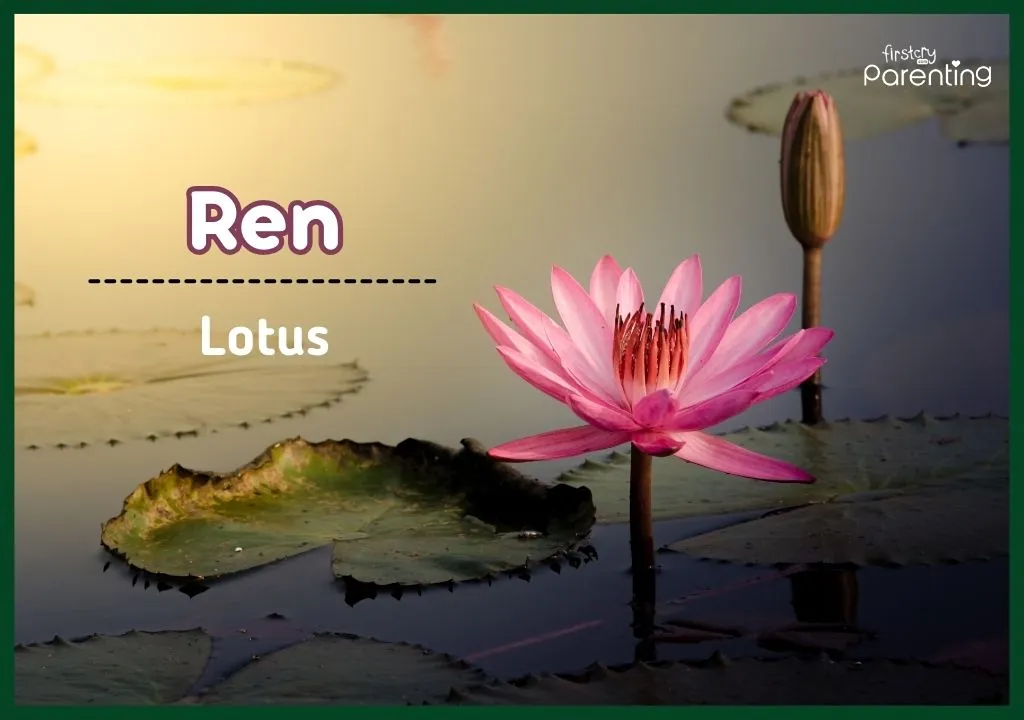 Ren - Flower Names for Boys and Girls