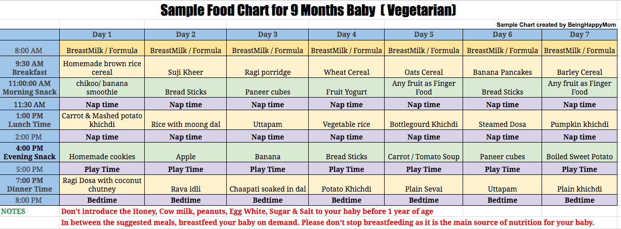 8 to 9 month baby food chart