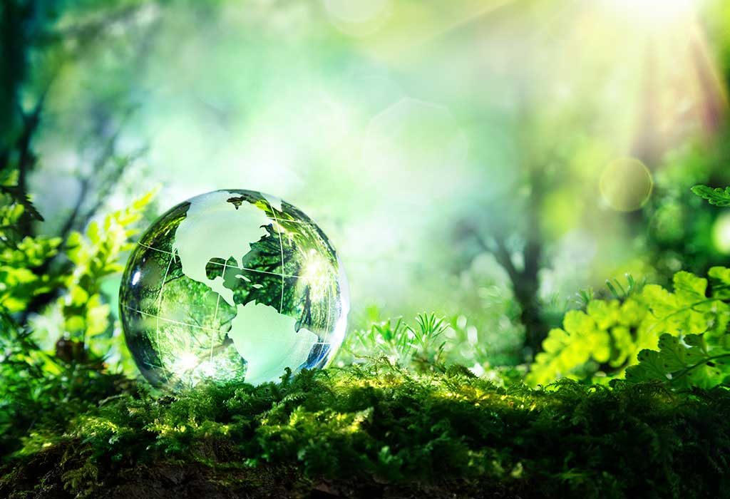 What is the story of World Environment Day?