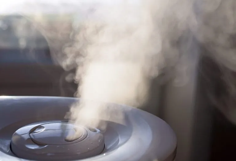 Using a Humidifier