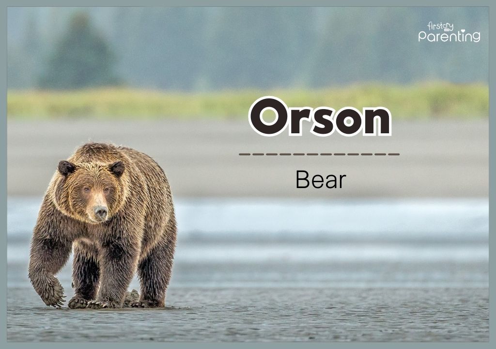 Orson - Strong and Powerful Boy Names