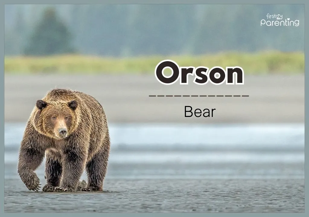 Orson - Strong and Powerful Boy Names Orson - Strong and Powerful Boy Names