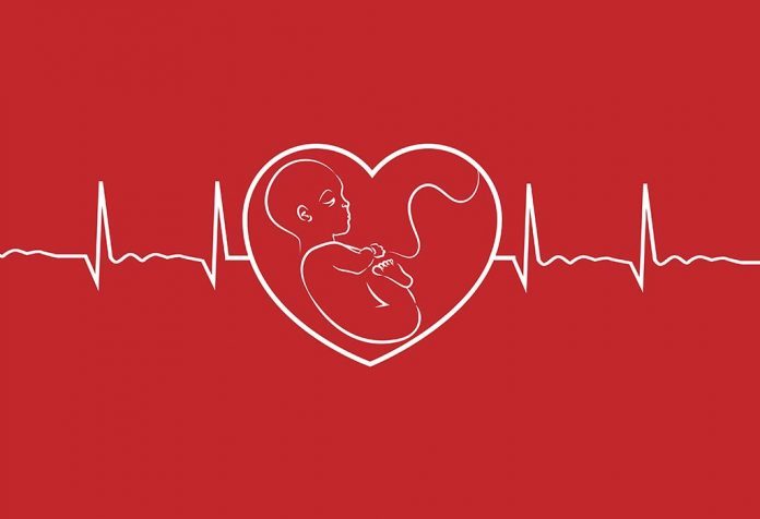 baby heartbeat