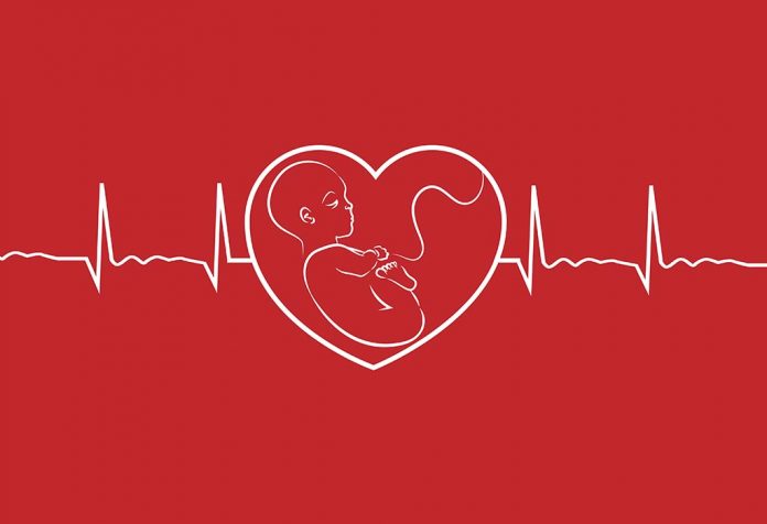 fetal heartbeat at 6 weeks