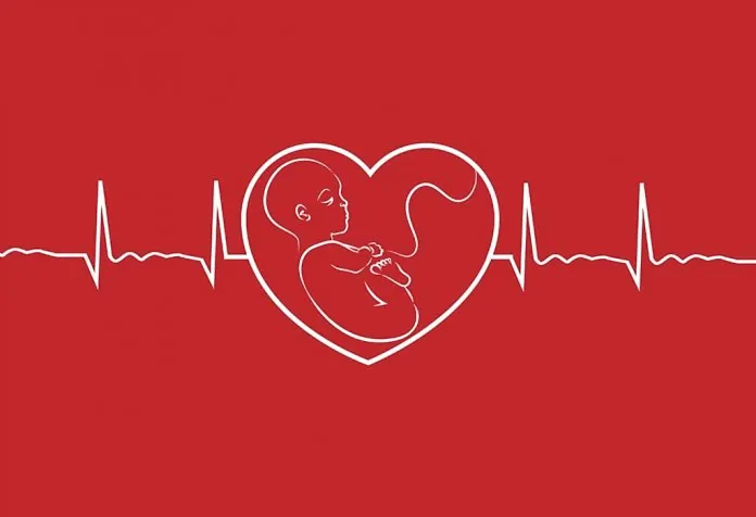 No Heartbeat At 6 Weeks in Womb - FAQs