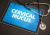 Can You Detect Early Pregnancy With the Help of Cervical Mucus