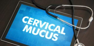 Can You Detect Early Pregnancy With the Help of Cervical Mucus